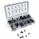 Kit de 110 clips pour garnitures de Peugeot, Citroen 