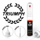 Stylo Retouche Peinture Triumph
