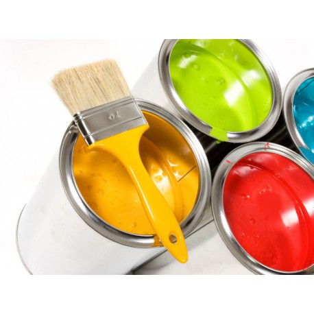 Peinture RAL 500gr Monocomposant