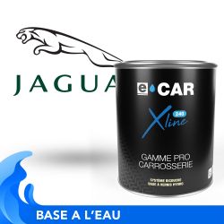 Peinture à l'eau Jaguar en pot prête à l'emploi
