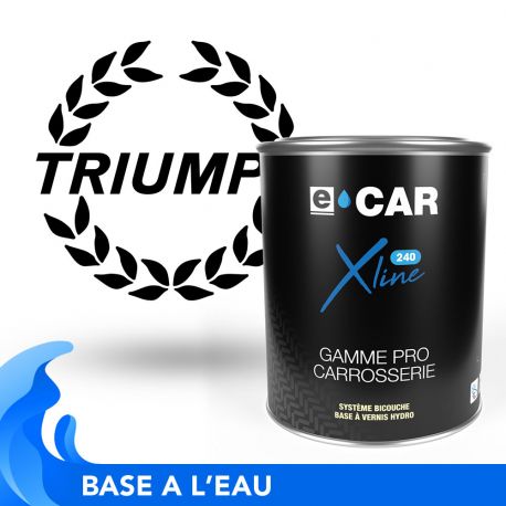 Peinture Triumph à l'eau en pot prête à l'emploi