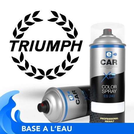 Bombe de peinture Triumph à l'eau 400ml