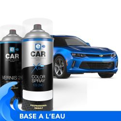Kit Bombe de Peinture Voiture à l'eau + Vernis 2K