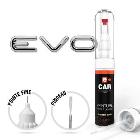 Stylo Retouche Peinture Rivian
