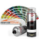 Bombe Peinture Mat 1K