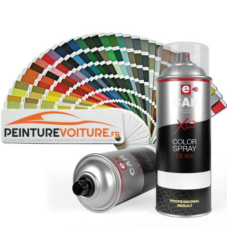 Bombe Peinture Mat 1K
