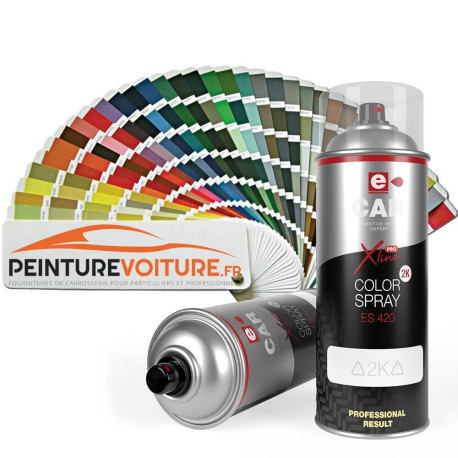 Aérosol de peinture RAL Moto Bicomposants
