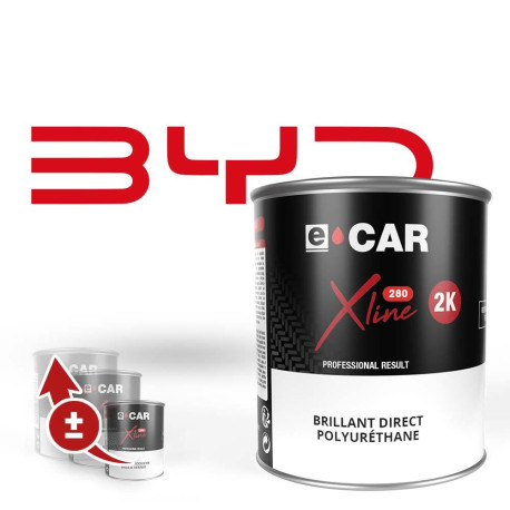 Peinture BYD Brillant Direct Polyuréthane