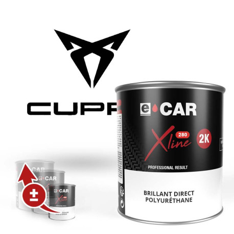 Peinture Rivian Brillant Direct Polyuréthane
