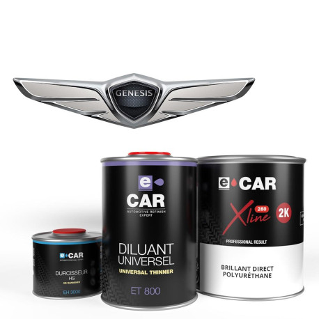 Kit Peinture Genesis Brillant Direct - Peinturevoiture.fr