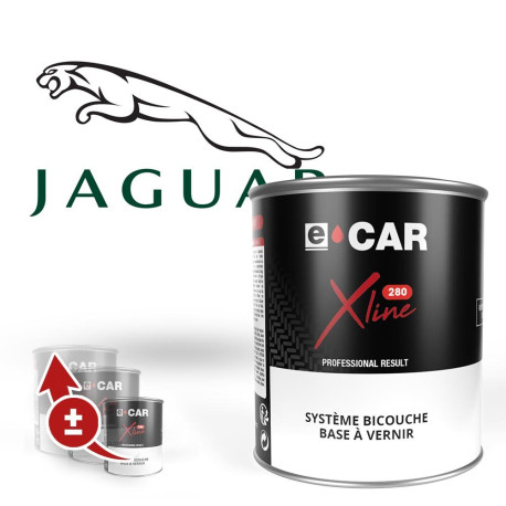 Peinture Jaguar en pot par Quantité