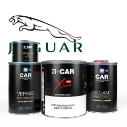 Kit peinture voiture Jaguar