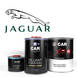 Peinture Jaguar Brillant Direct en Kit