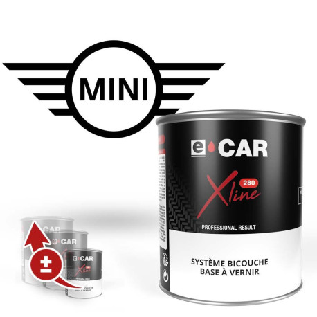 Peinture Mini