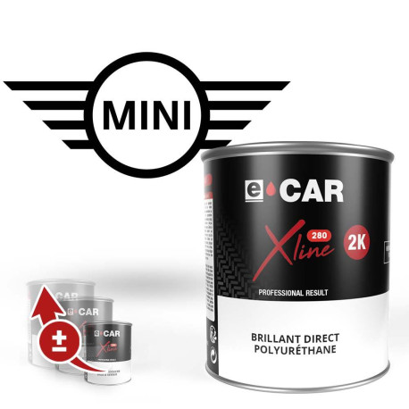 Peinture Mini Brillant Direct Polyuréthane