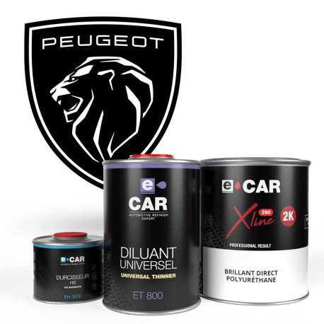 Kit Peinture Carrosserie Bugatti : Vernis + Durcisseur BesaGlass Anti-rayures 0,87L - Neuf