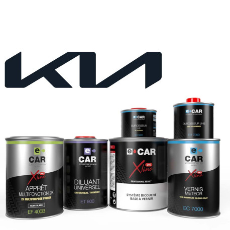 Kit De Retouche Peinture Voiture Dacia/ARO - Arizona Orange Metallic - 3 Flacons De 50 Ml (apprêt, Base, Vernis) + Pinceaux