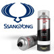 Bombe de peinture pour voiture SsangYong