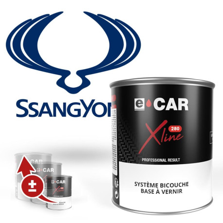 Peinture voiture SsangYong solvantée en pot