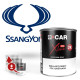 Peinture SsangYong Brillant Direct Polyuréthane