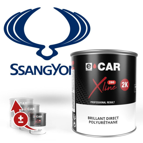Peinture SsangYong Brillant Direct Polyuréthane