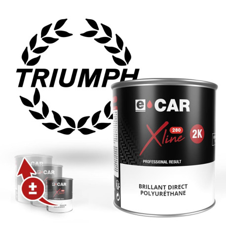 Peinture Triumph Polyuréthane