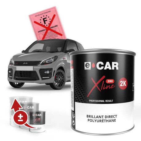 Peinture Voiture Sans Permis Brillant Direct Polyuréthane