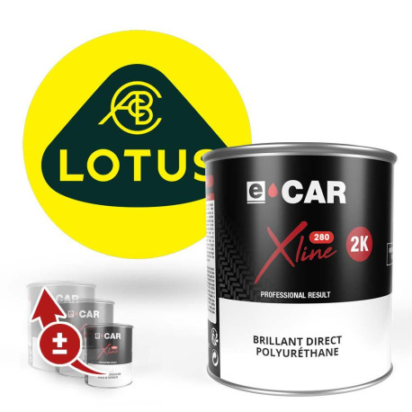 Peinture Lotus Brillant Direct Polyuréthane
