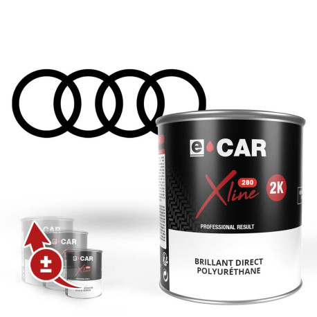 Peinture Audi Brillant Direct Polyuréthane