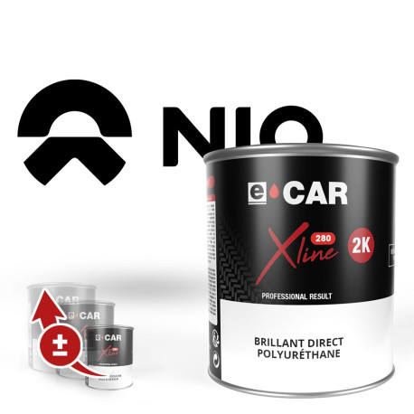 Peinture Nio Brillant Direct Polyuréthane