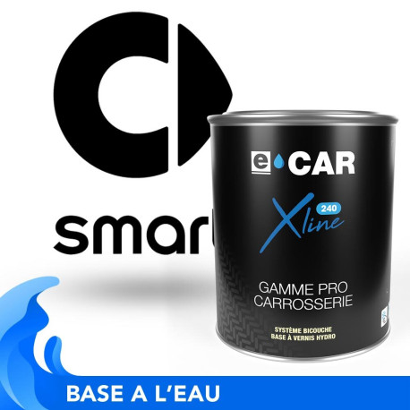 Peinture à l'eau Smart en pot prête à l'emploi