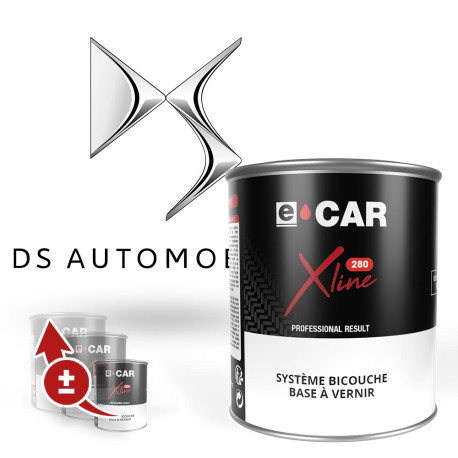 Peinture DS Automobiles en pot par Quantité