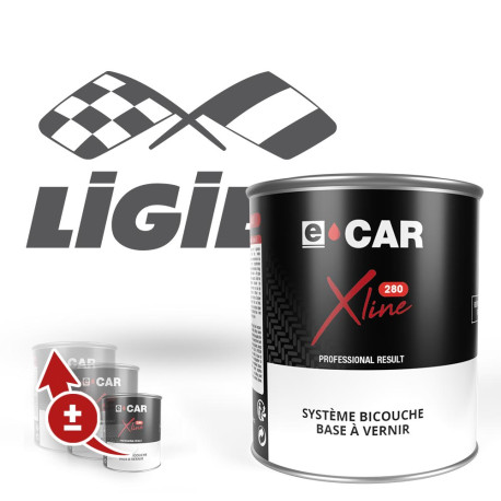 Peinture Ligier en pot par Quantité