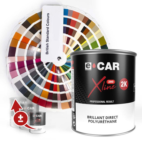 Peinture British Standard Brillant Direct Polyuréthane en Pot