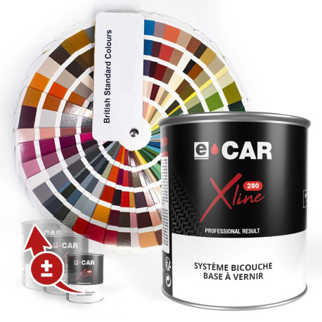 Peinture British Standard à vernir en pot