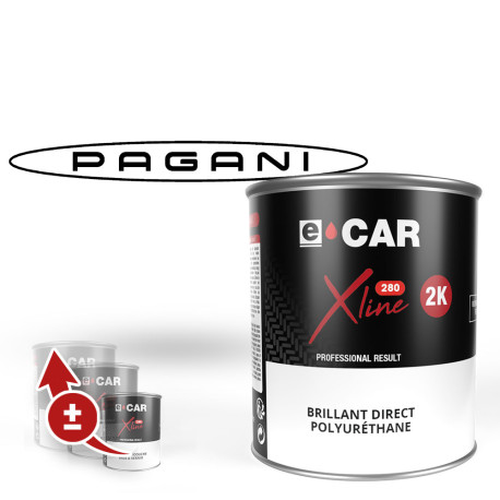 Peinture Pagani Brillant Direct Polyuréthane