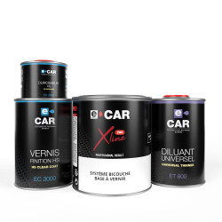 Kit Peinture toutes teintes (en pot) + Diluant + Vernis