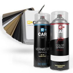 Kit Bombe de Peinture Wheel'ECAR + Vernis
