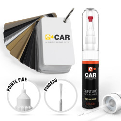 Stylo Retouche Peinture Wheel'ECAR