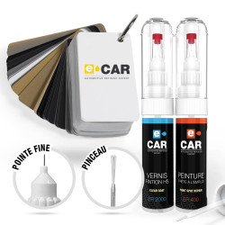 Kit Stylo Retouche Wheel'ECAR + Vernis