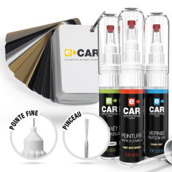 Kit Stylo Retouche Roewe + Apprêt Antirouille + Vernis
