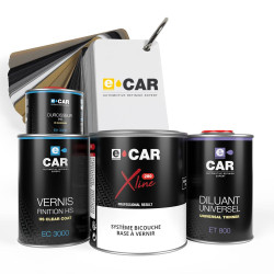 Kit Peinture Wheel'ECAR (en pot) + Diluant + Vernis