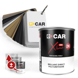 Peinture Wheel'ECAR Brillant Direct Polyuréthane