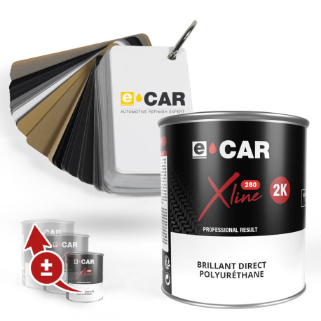Peinture Wheel'ECAR Brillant Direct Polyuréthane