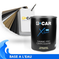 Peinture Wheel'ECAR à l'eau en pot