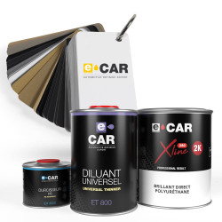 Kit Peinture Wheel'ECAR Brillant Direct