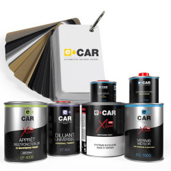 Pack Peinture jantes Voiture Premium Wheel'ECAR