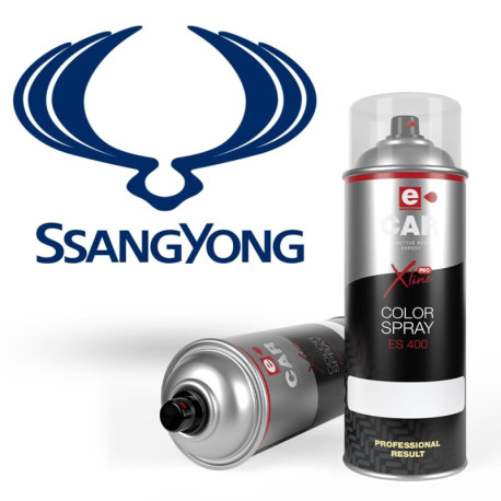 Bombe de peinture 1K SsangYong brillant direct 400 ml