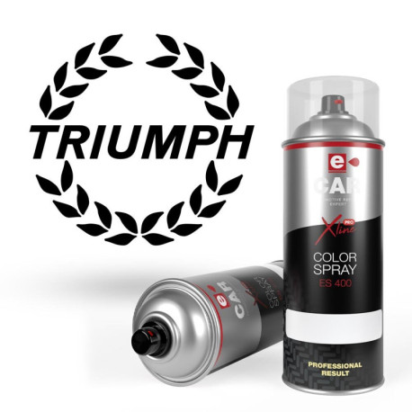 Bombe de peinture 1K Triumph brillant direct 400 ml
