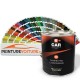 Peinture Epoxy en pot de 2L